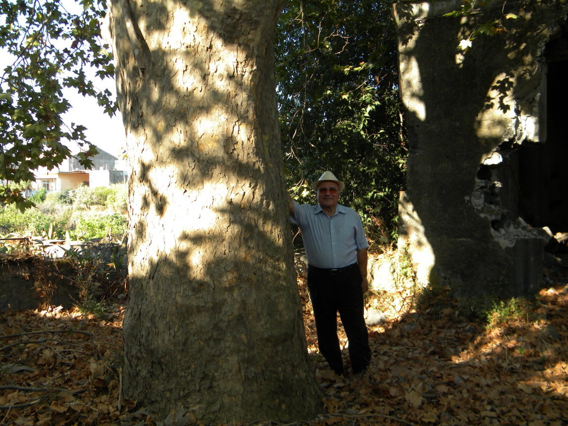 DSCN8042 .JPG